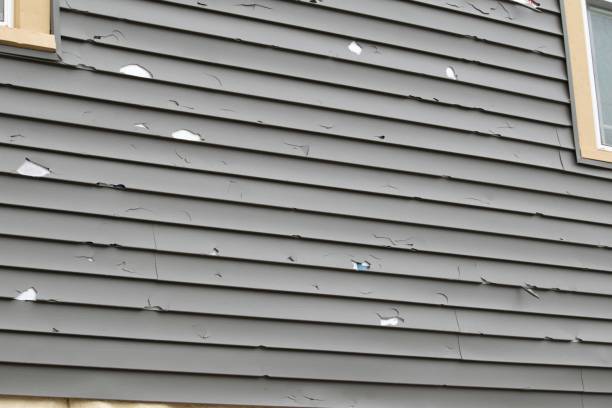  Lancaster, WI Siding Pros